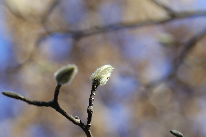 image0108