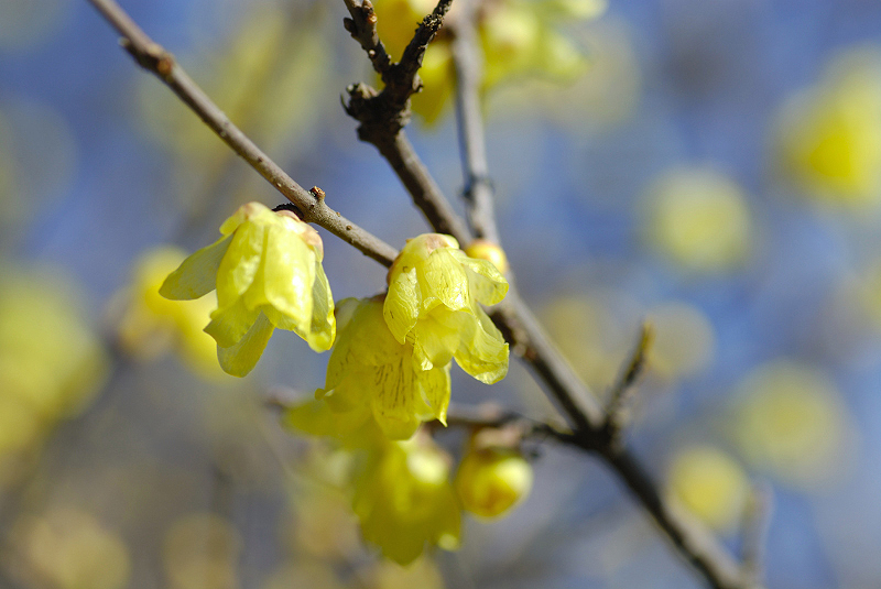 image0116