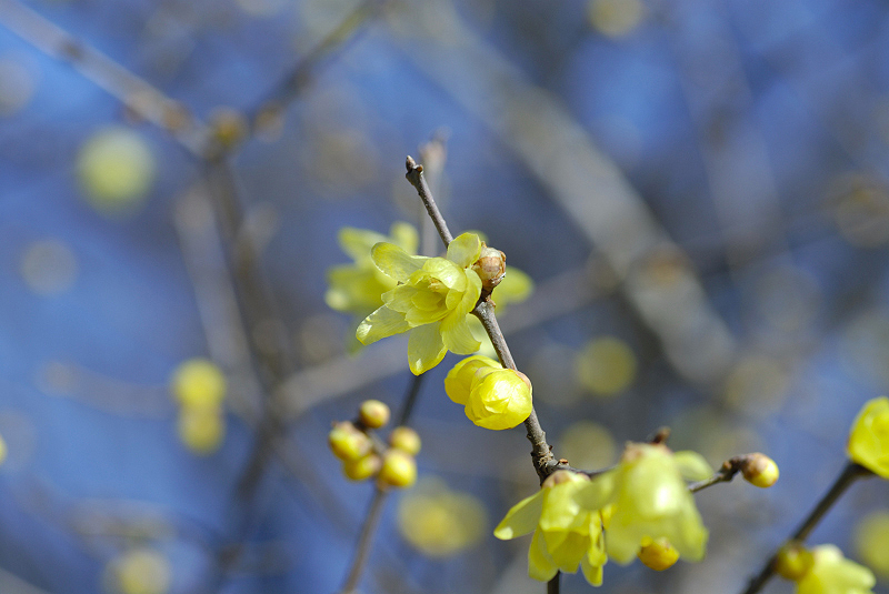 image0128