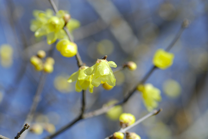 image0129