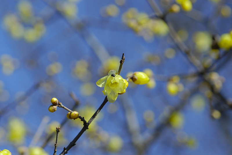 image0133