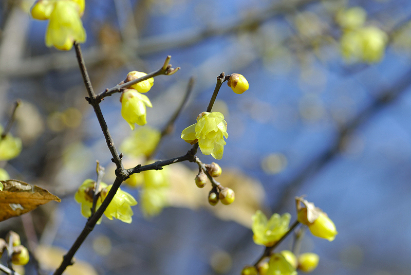 image0137