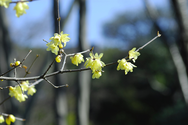 image0139