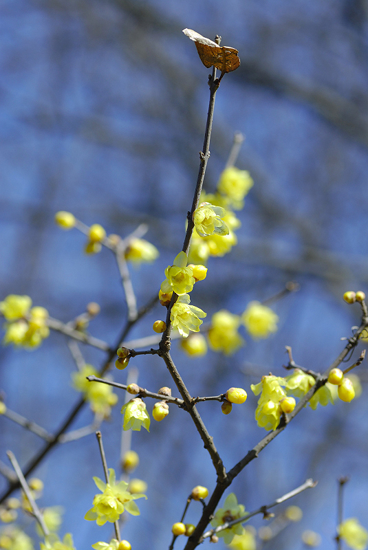 image0140