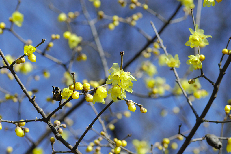 image0141
