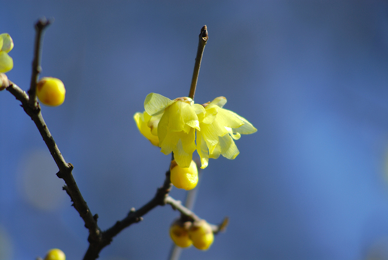 image0143