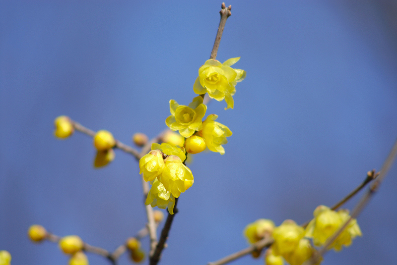 image0150
