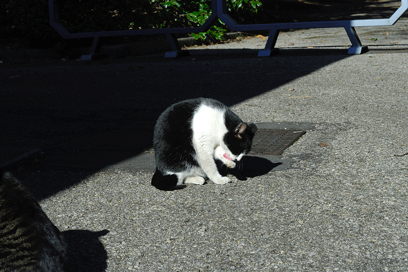 image0158