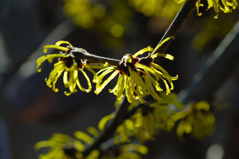 image0285