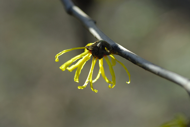 image0287