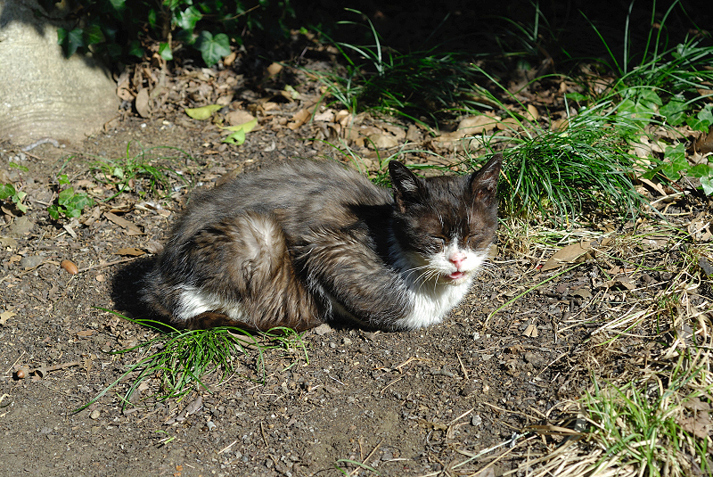 image0304