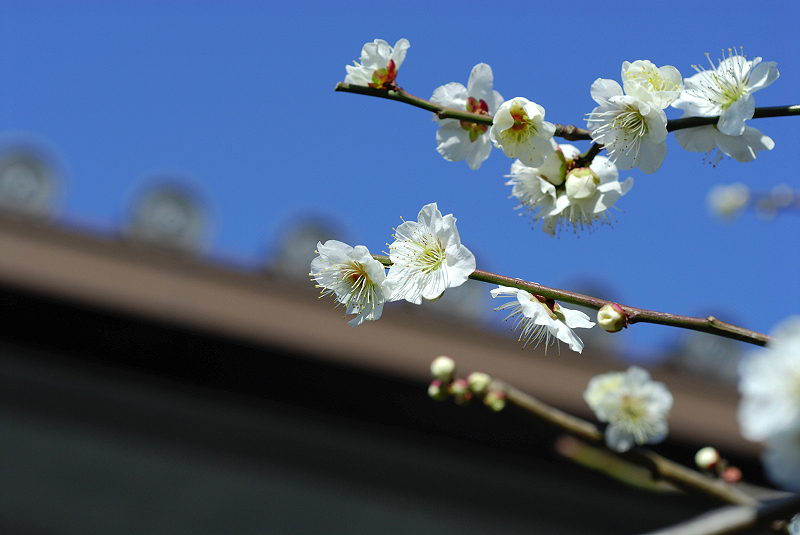 image0314
