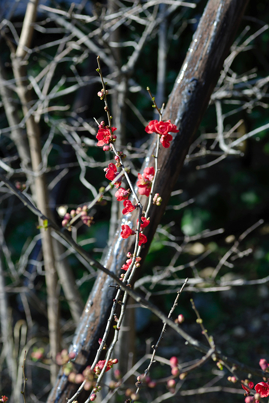image0339