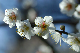 image0118