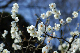image0130