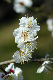 image0132