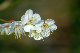 image0133