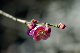 image0135