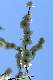 image0136