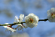 image0137