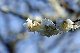 image0138