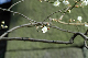 image0140