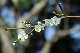image0141
