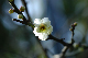 image0142