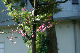 image0145