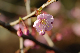 image0148