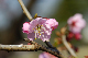 image0150
