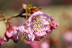 image0152