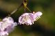 image0153