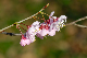 image0155