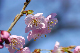 image0158