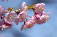 image0159