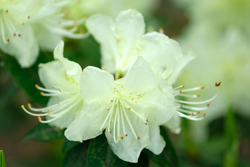 image0107