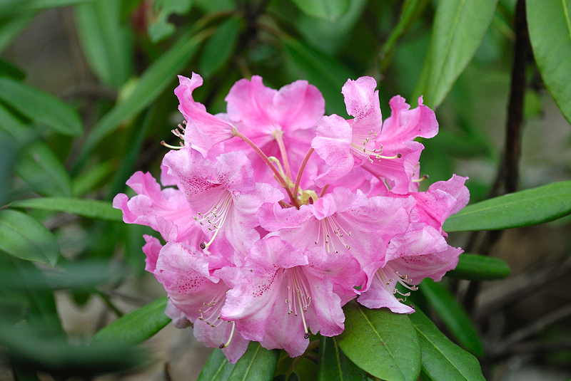 image0109