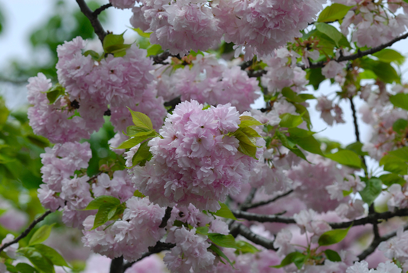 image0118