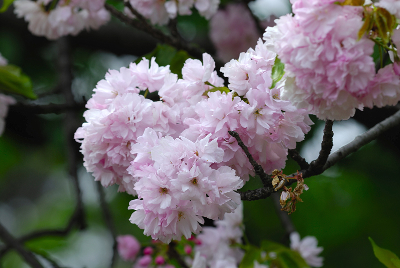 image0121
