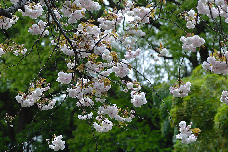 image0143