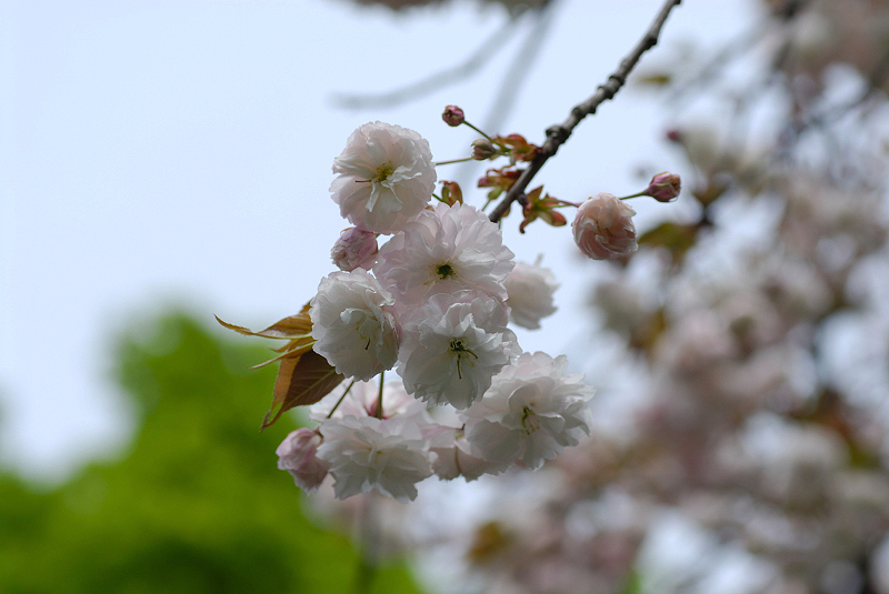 image0145