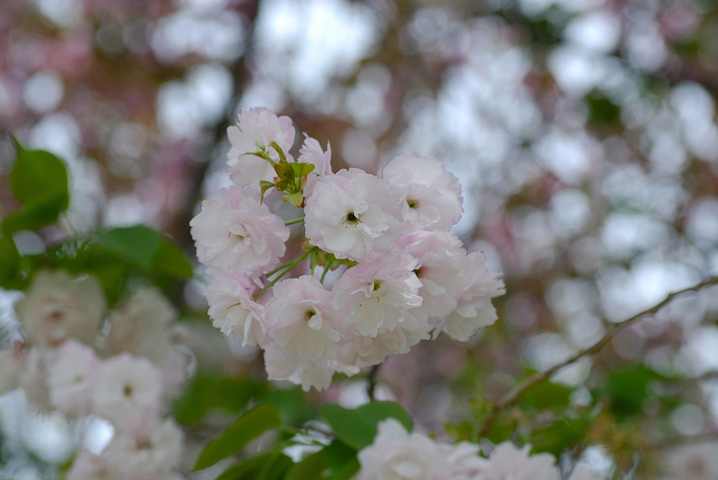 image0149