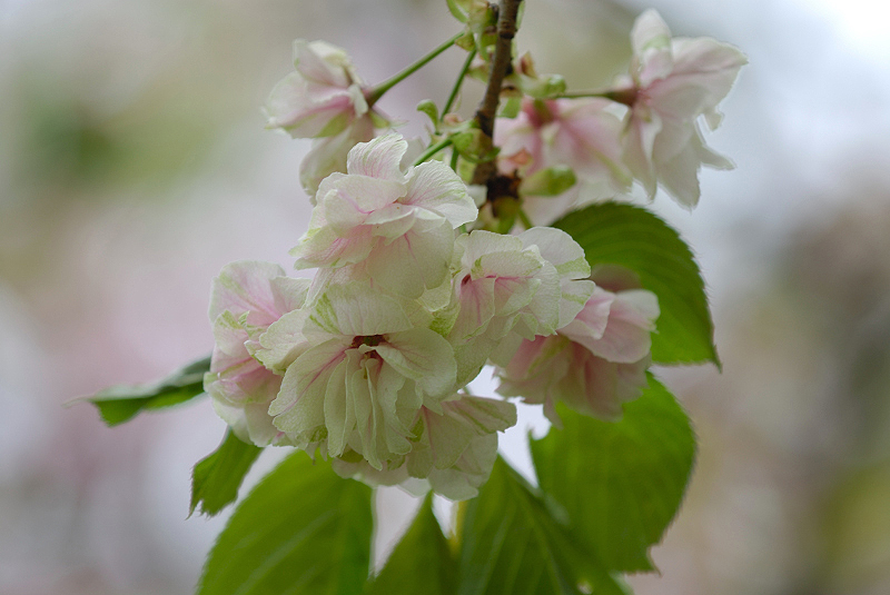image0159