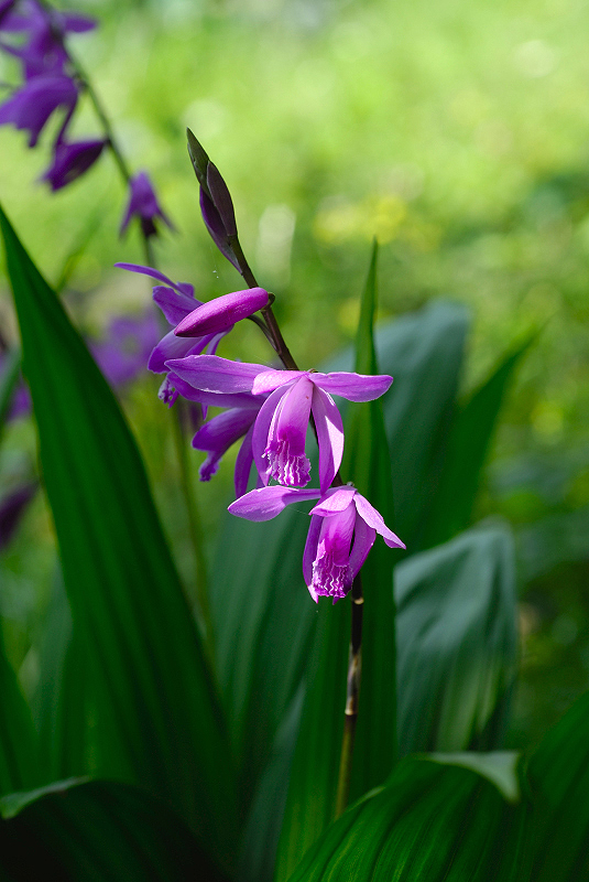 image0085