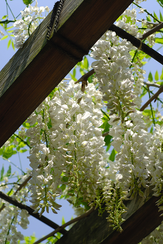 image0092