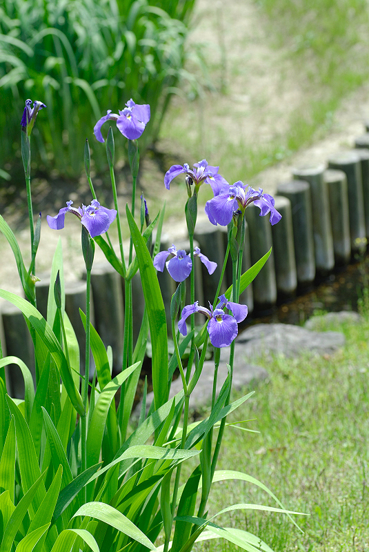 image0093