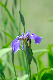 image0109