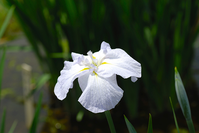 image0097