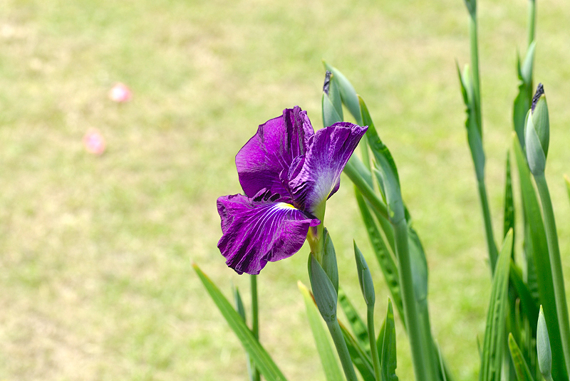 image0099